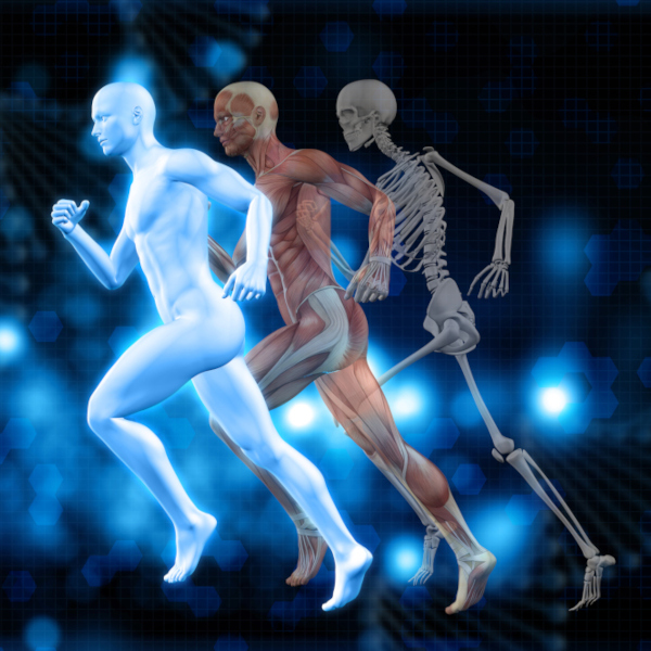 foto sesión Técnica Estructurál